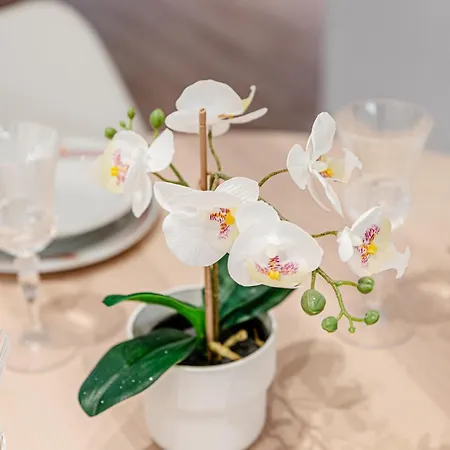 Metropolitan Tranquility 2br Terrace Near Metro *